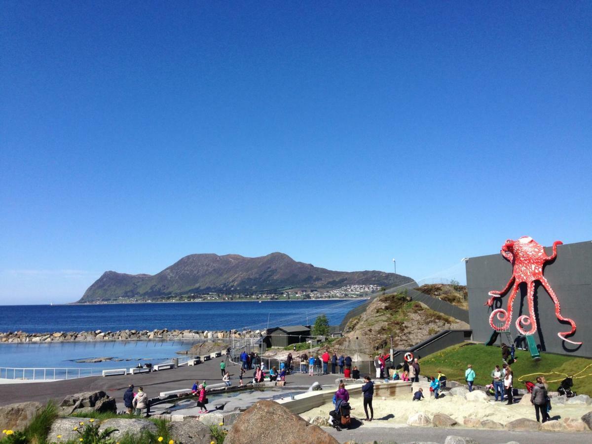 Hotel Four Monkeys Ålesund Zewnętrze zdjęcie